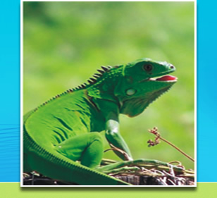 Planes de Manejo Ambiental