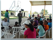 Informes de Cumplimiento ambiental ICA